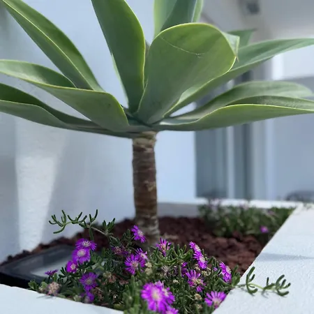 Urban Spaces Ibiza-3
